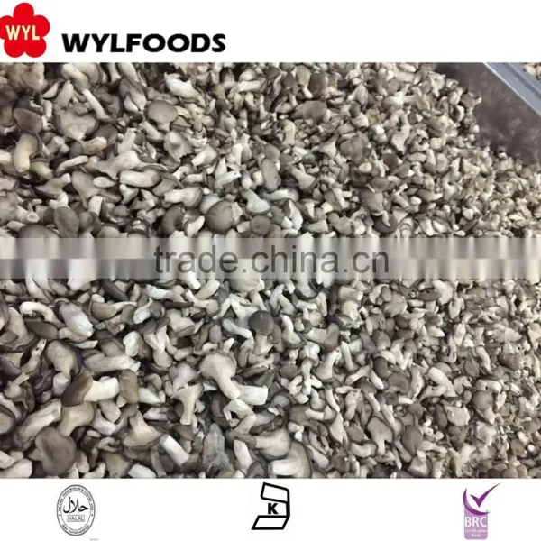 Frozen Oyster Mushrooms Wholesales Price New Season photo-4