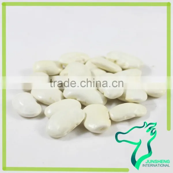 Large White Kidney Beans Current Beans Make Soup photo-4