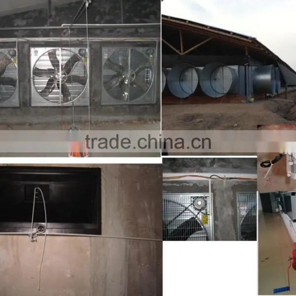 Broiler Poultry Farm Equipment photo-6