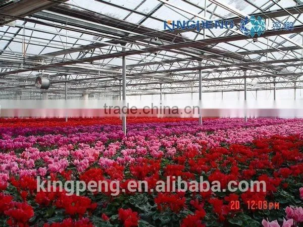 Greenhouse for Growing Flowers photo-2
