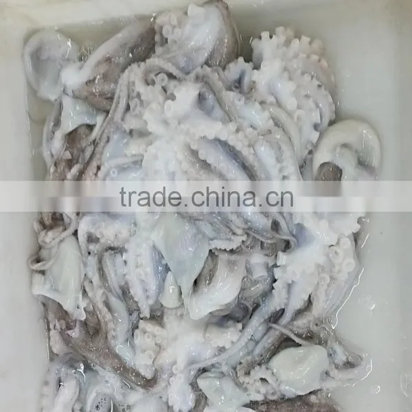 Raw Frozen Flower Shaped Octopus photo-3