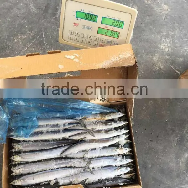 Low Price Seafood Frozen Saury photo-2