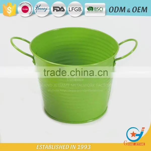 Iron and Zinc Unique Embossing Powder Coated Flowering Plants in Pots Decoration Garden Flower Pot photo-2