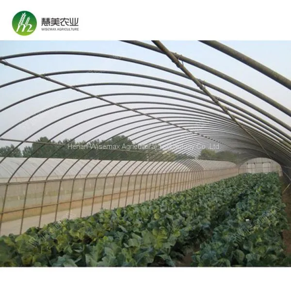 Top Quality China Manufacturer Single Span Polyethylene Film Greenhouses photo-2