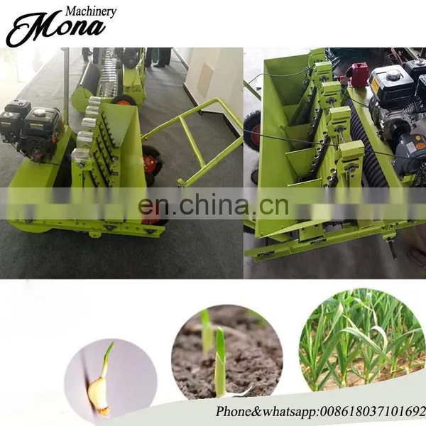Trade Assurance 4 Row Gralic Planting Machine Garlic Planter for Sale photo-2