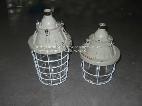 250W Extension Explosion-proof Lamp Waterproof Dustproof Lamp Explosion-proof Energy-saving Lamp BAD54 photo-2
