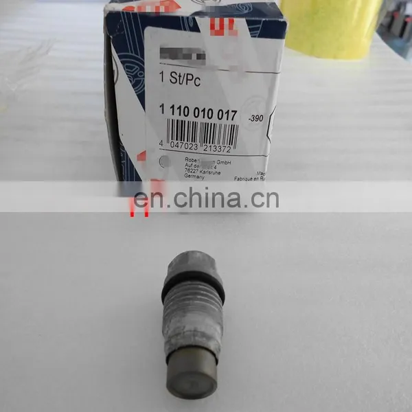 Common Rail Safety Valve Assembly 110010017 for Engine Parts photo-2