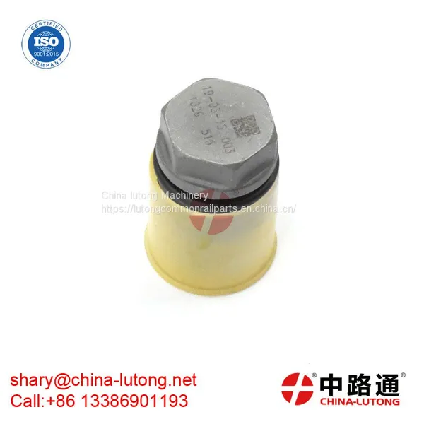 Diesel Fuel Injector Pump Pressure Relief Valve 1 110 010 032 Fuel Pressure Limiting Relief Valve