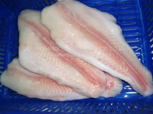 Frozen Pangasius Fillets, (pangasius Hypophthalmus) , Filete De Basa, Basa Rojo, Blanco photo-2