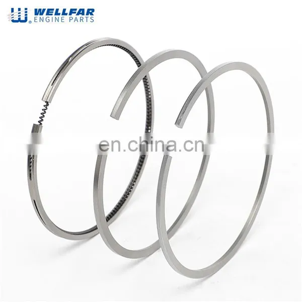 3660300024 OM-366 Engin Parts Piston Ring for Benz OM-366 Engine Spare Part photo-3