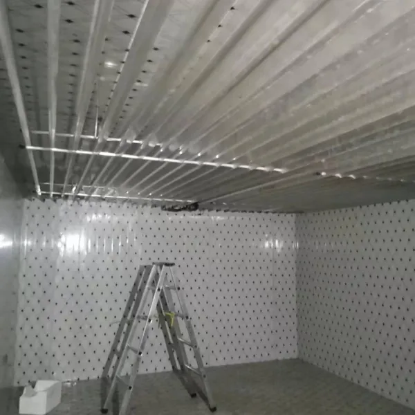 Rapid Freezing Room，Sub-zero Cold Storage，Small Vegetable Cold Room photo-3