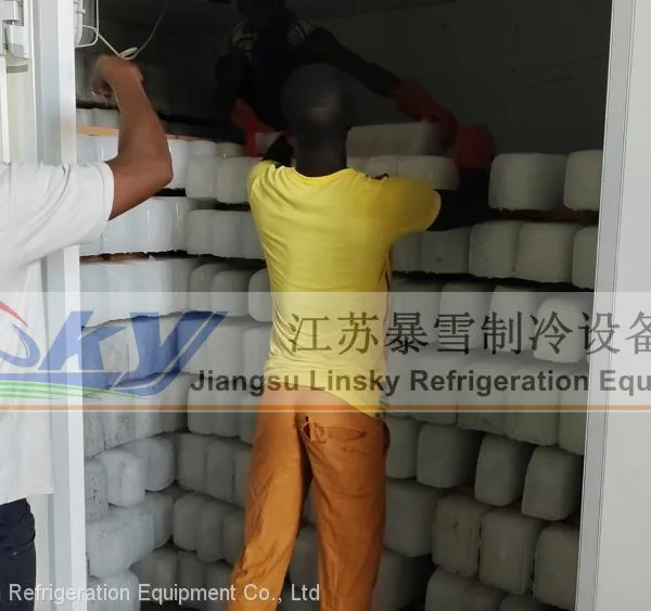 Industrial Ice Machine 30Ton Ice Machine for Fish photo-3