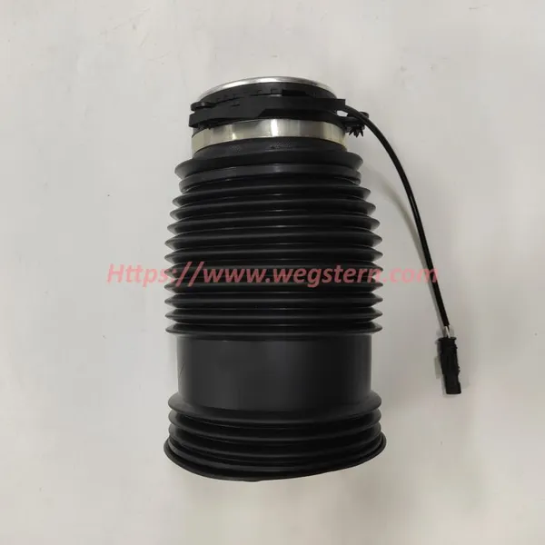 2133200125 2133200225 Hot Selling Nice Quality Rear Air Spring for Mercedes Benz W213 C238 W253 GLC CLS W257 C257 Rear LH & RH 2017-- photo-2
