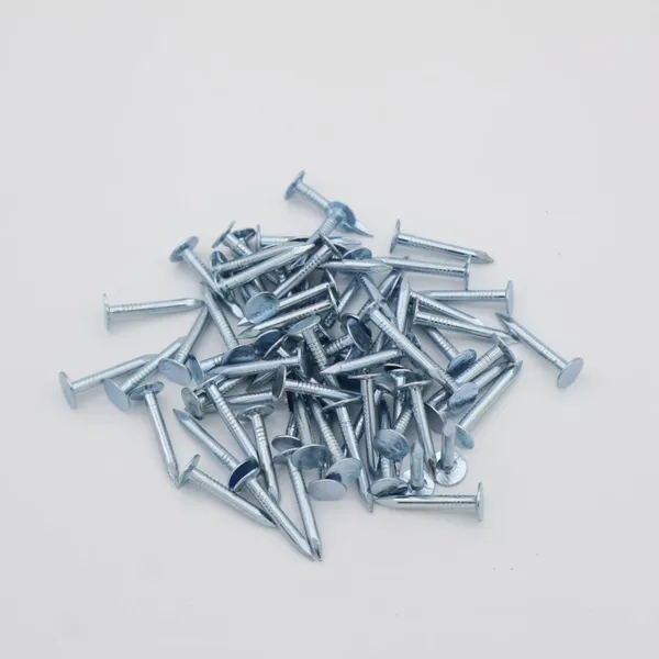 25mm Large Head Nails for Roofing Felt - Zinc Plated for Rust Resistance photo-2