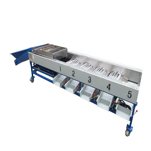 Fruit Sorting Machine Can Use for Pear/ Tomato/ Cherry/ Apple/ Orange/ Lemon/ Mango photo-6