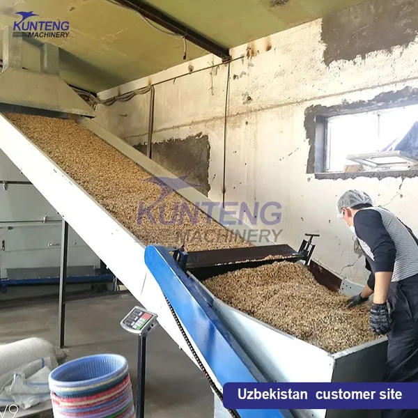 Automatic Commercial Cassava Ginger Taro Tomato Carrot Cleaning Slicing and Drying Production Line photo-5