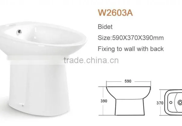 Sanitary Ware Bathroom Cheap Combination Toilet Bidet photo-2