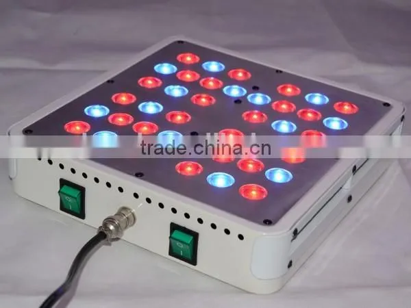 High Power 200W LED Grow Light 3 Years Warranty for Medical Plants photo-4