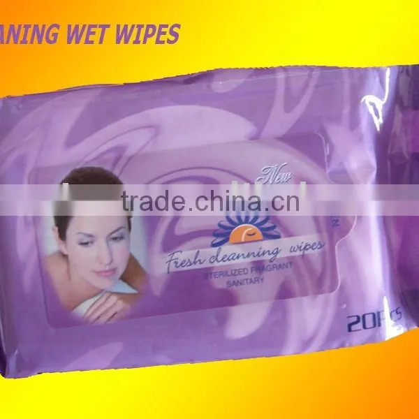 Wet Wipes, Lady Wet Wipes