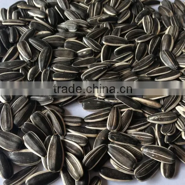 Chinese Sunflower Seeds 5009 Long Shape 270PCS/50G photo-2
