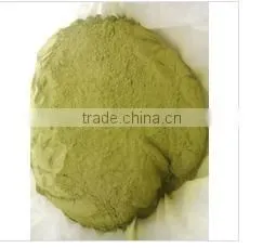 High quality hot sell Senna Powder