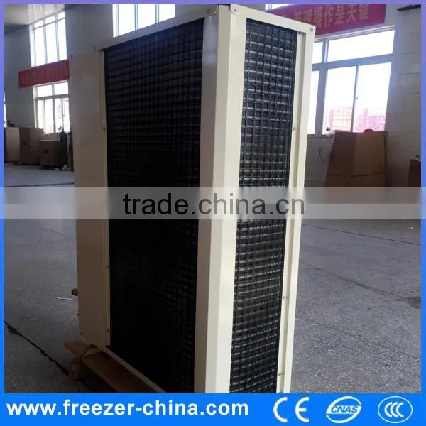 Sanyo/Copeland Brand Remote Compressor Unit China Manufacturer photo-4