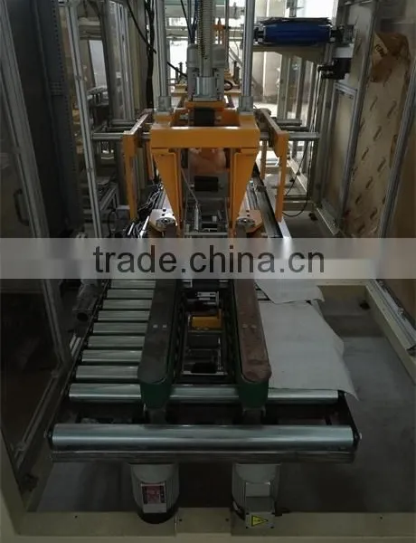 Case Packaging Machine for Salt Bags photo-3