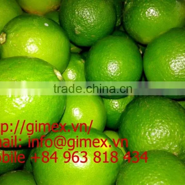 FRESH SEEDLESS LIME photo-4