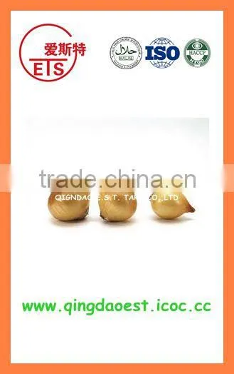 Bulk New Crop Chinese Fresh Product Yellow Onion photo-4