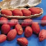 Peanuts in Shell photo-4