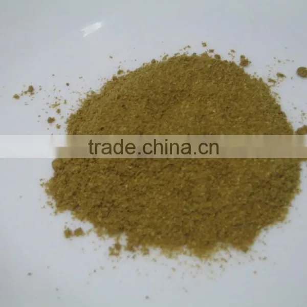 Coriander Seeds