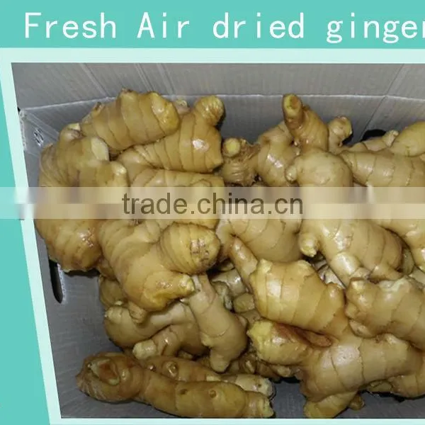 Organic Fresh Ginger photo-5