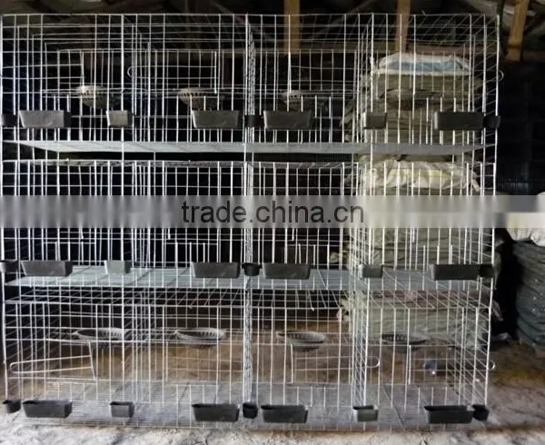 Galvanized Pigeon Breeding Cage For Poultry Farms photo-3