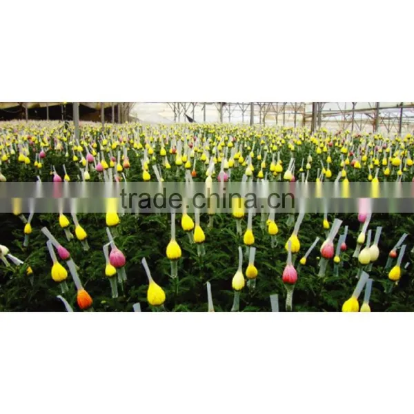 Flower Wrapping Net