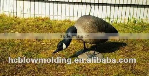 Colourful Goosey,resting Watching,Decoy Goose for Hunting,Decoy Goose for Hunting photo-5