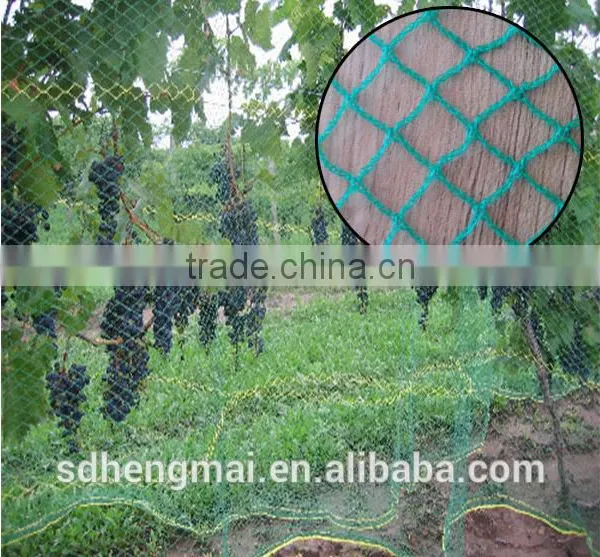 100% Virgin HDPE Protection Anti-hail Net,wind Net /Anti Bird Net photo-3
