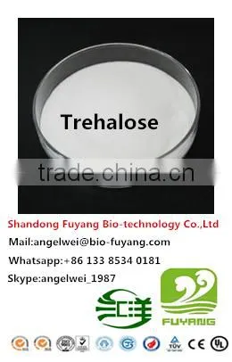 The Biggest Manufacture in China for Trehalose photo-4