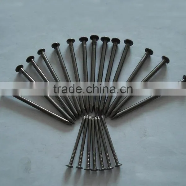 Polished Common Iron Nails With Factory Price photo-3