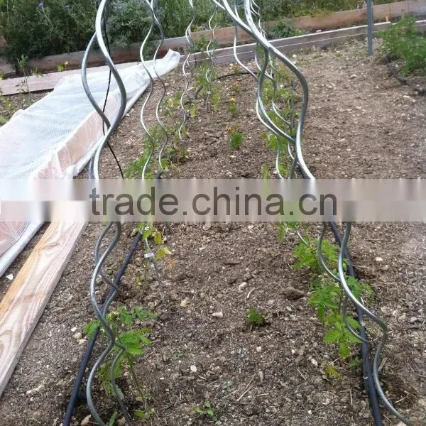1.8m Galvanized Tomato Plant Stake Stick photo-4