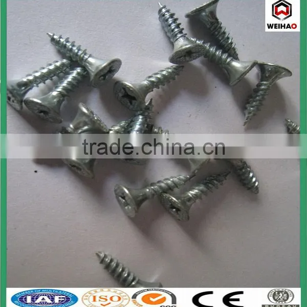 Screw/collated Drywall Screws/galvanized Drywall Screw photo-2