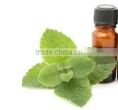 SPEARMINT Oil photo-2