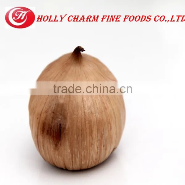 10kg Loose Carton Packing Carton Black Garlic photo-6