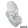 Sanitary Toilet Seat