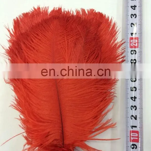 Professional Supplier Chrismas Ostrich Feather Decorations photo-2