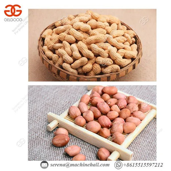 Automatic Peanut Sheller Shelling Machine Peanut Shucker photo-3