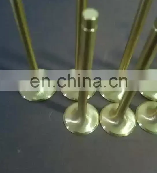 New Discount Automotive Spare Parts Diesel Engine Valve For Asia Topic Towner 2009-2010 photo-1
