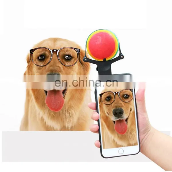 New Design Dog Cat Pet Selfie Stick Rod Dog Cat Take Photos Training Toy Flower Phone Clip Selfie Clip photo-2
