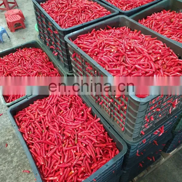 Hot Chili Sauce Made in Vietnam Cheap Price for OEM photo-2