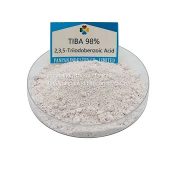 Hot Sale Biochemicals Tiba 2 3 5triiodobenzoic Acid 98 tc Powder Tiba Good Product