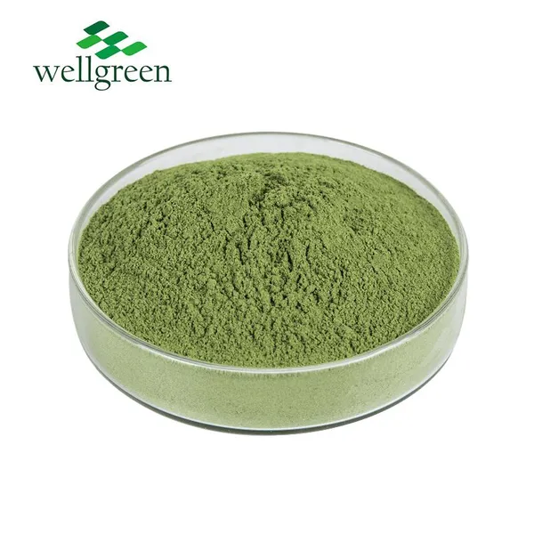 Water soluble Natural Essence Dehydrated Vegetables Dried Leeks Seed Extract Leek Juice Powder